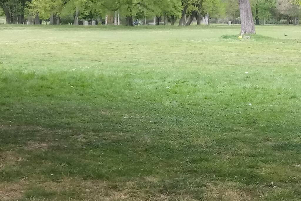 pennello_correttivo_cartacce_dopo